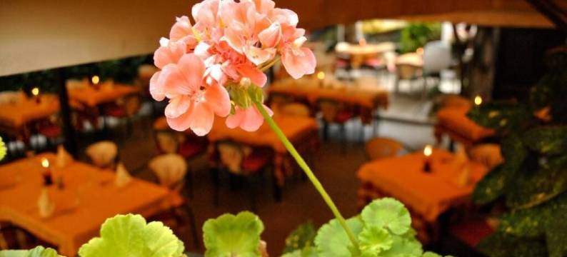 菲奥伦蒂诺里斯托兰特酒店(Hotel Fiorentino)图片