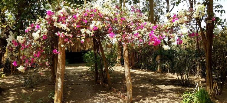 常绿度假酒店(Evergreen Eco Lodge Retreat)图片