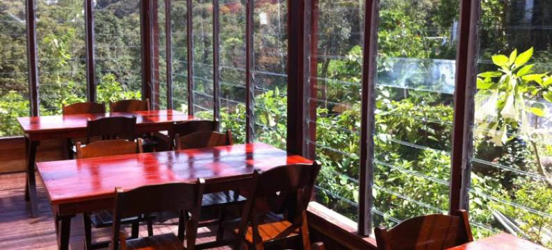 山里度假村(Mile 36 Lodge)图片