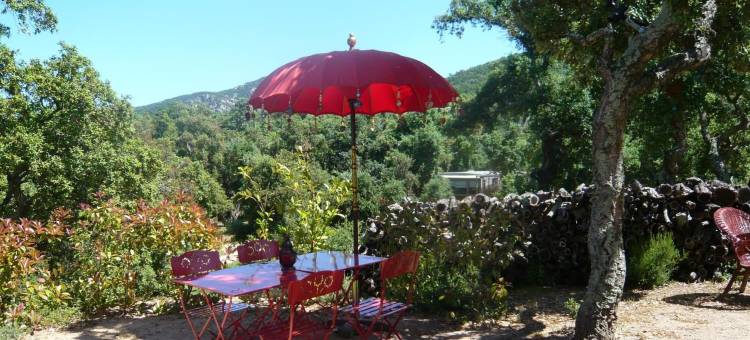 太阳蒙古酒店(Au Soleil Mongol)图片