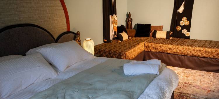 拉拉索尔(Lala Saul)图片