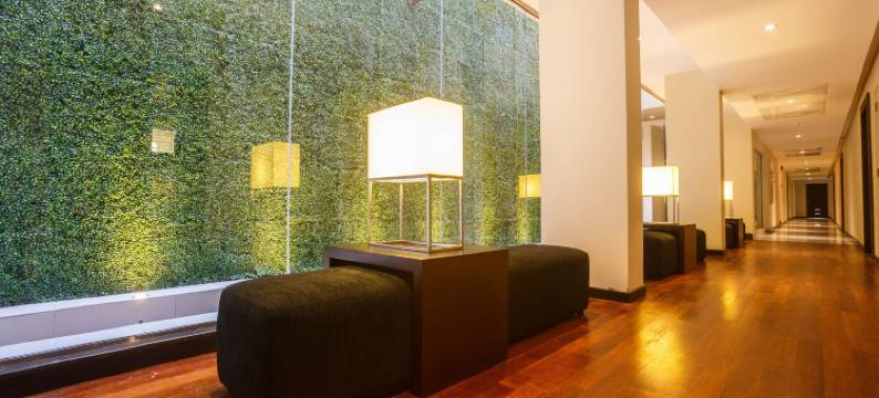 雷努卡城市酒店(Renuka City Hotel)图片