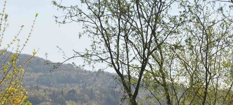 菲尼乐庭院酒店(Antico Fienile)图片