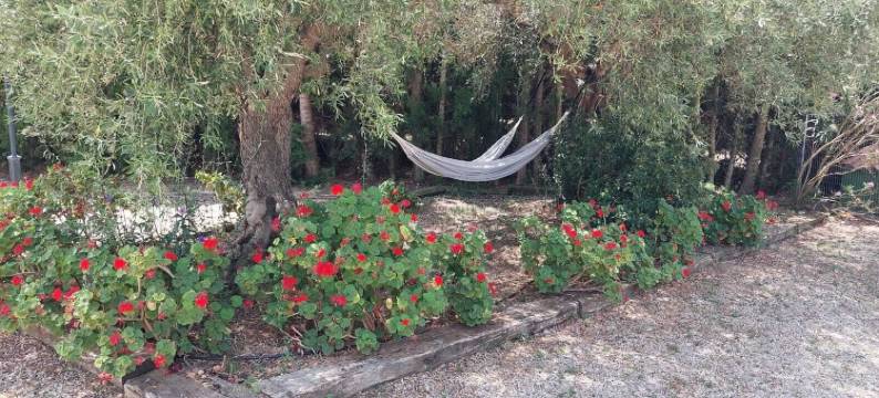 Pardalot别墅(Villa Pardalot)图片