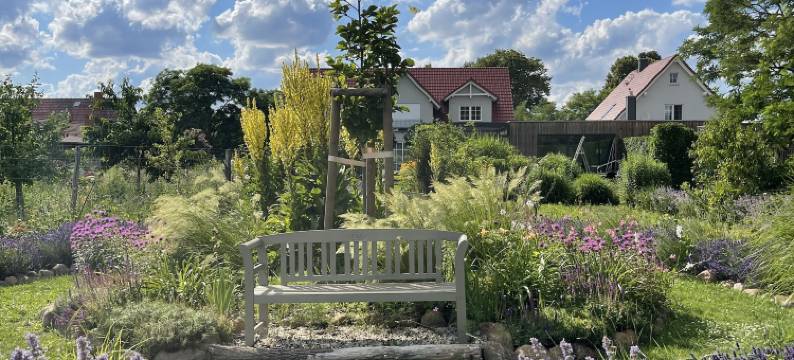 阿尔温施普雷维森乡村别墅酒店(Alwine - Landhaus an den Spreewiesen)图片