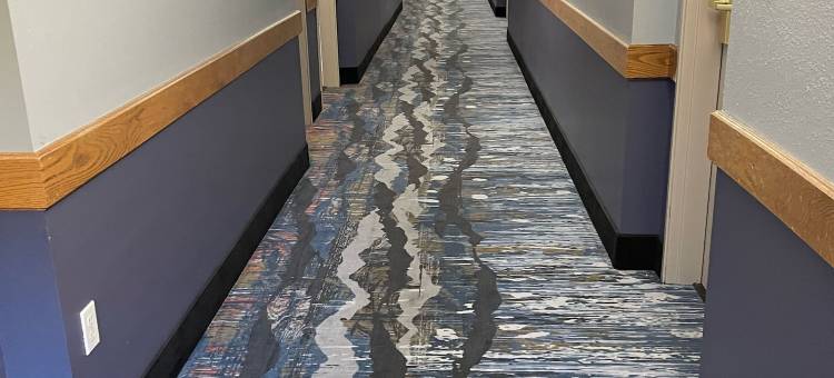 莱迪史密斯温德姆美吟温德姆酒店(AmericInn by Wyndham Ladysmith)图片