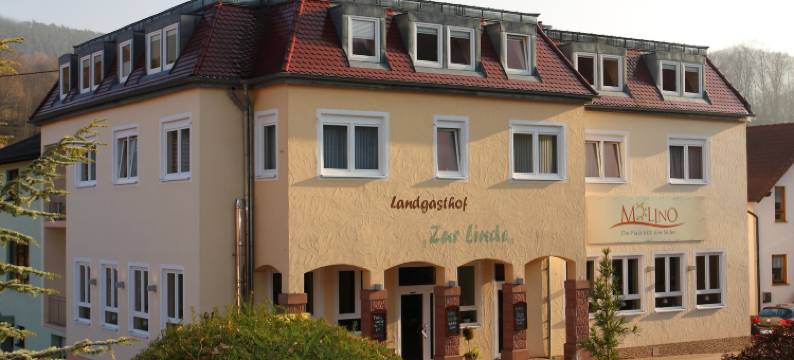 林德普法尔茨酒店(Hotel Linde Pfalz)图片