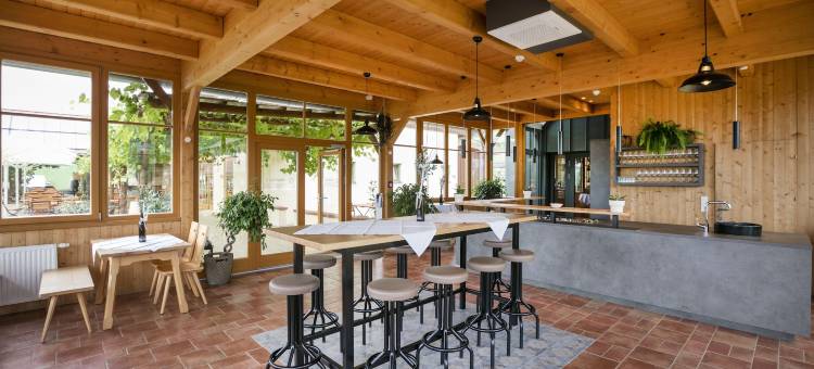 蒂申 - 比奥朗德勒尼斯胡法酒店(Jufa Hotel Tieschen)图片