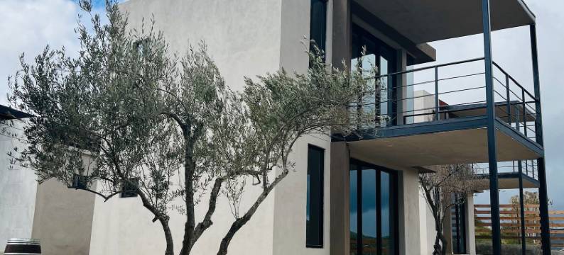 索菲亚别墅(Villa Sophia Valle de Guadalupe)图片