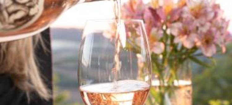 佩奇纳斯特罗加 - 比耶利察酒庄客房(Pećina Stroga - Bjelica Winery Rooms)图片