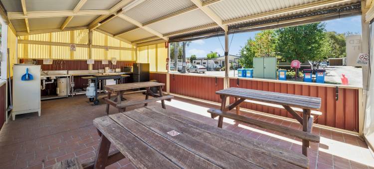 奥尔伯里假日公园(Albury Holiday Park)图片