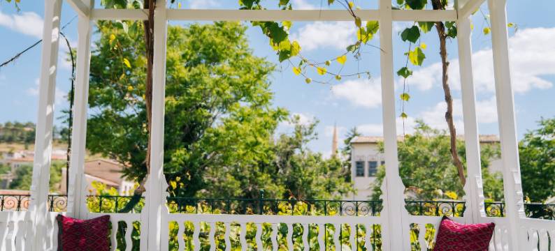 古尔科纳克拉兹辛那索斯特类酒店(Gul Konakları - Sinasos - Special Category)图片