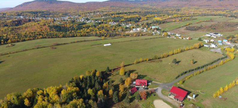 乡村旅馆和营地(Auberge & Campagne)图片