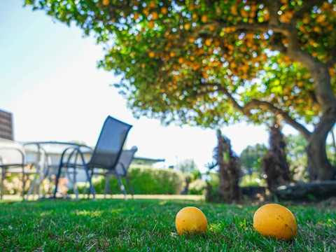 蒙大拿汽车旅馆