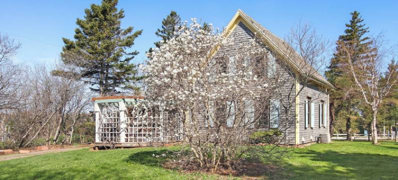 Avonlea森林山丘小屋(Avonlea Forest Hill Cottages)图片