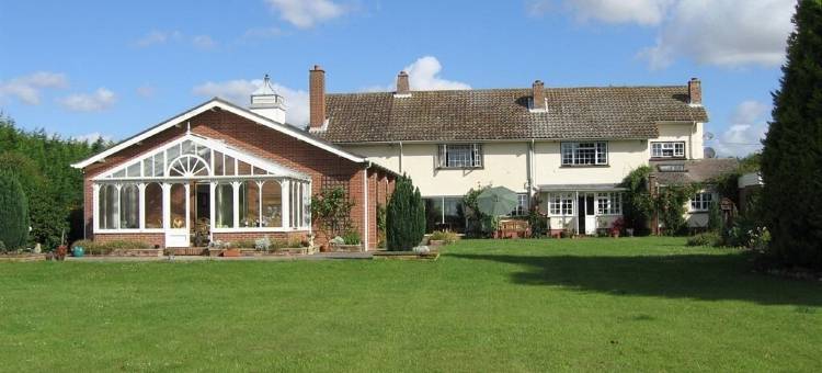 纽曼大厅酒店(Newmans Hall)图片