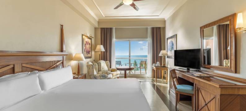 厄尔巴岛艾斯塔波海水浴温泉酒店(Elba Estepona Gran Hotel & Thalasso Spa)图片