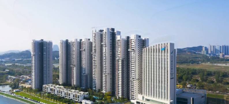 佛山白天鹅采奕酒店图片