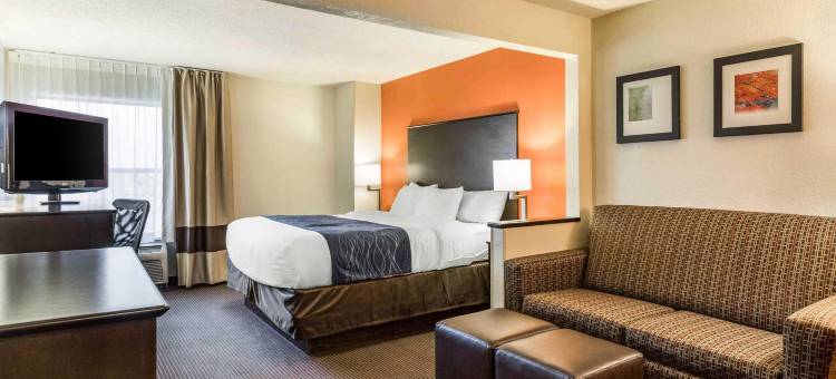 双翼体育场舒适酒店(Comfort Inn Wings Stadium)图片