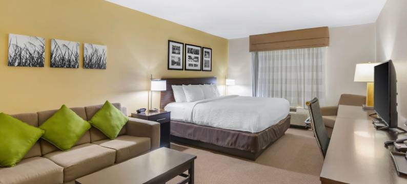 德弗尔斯莱克舒眠套房酒店(Sleep Inn & Suites Devils Lake)图片