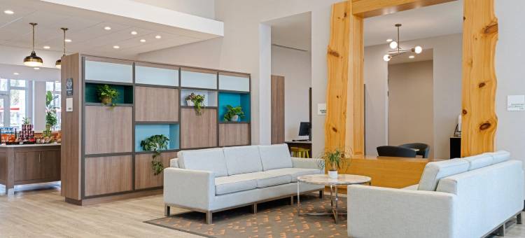 奥兰多国际大道主题公园智选假日套房酒店(Holiday Inn & Suites Orlando I-Drive - Theme Parks)图片