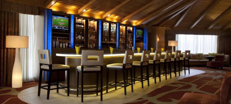 格林威广场休斯顿希尔顿逸林酒店(DoubleTree by Hilton Hotel Houston - Greenway Plaza)图片