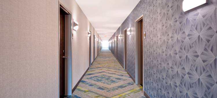 底特律泰勒希尔顿惠庭酒店(Home2 Suites by Hilton Taylor Detroit)图片