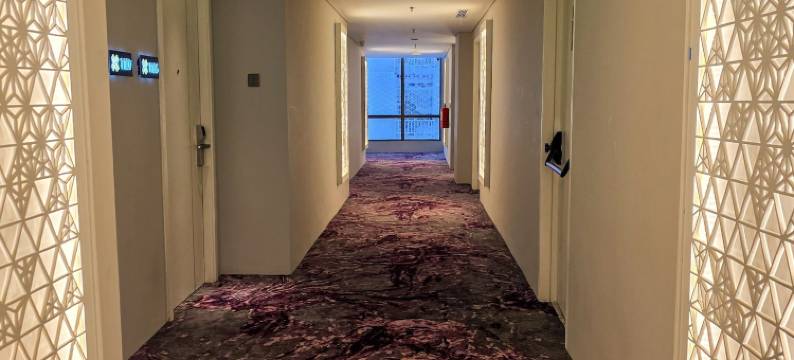 雅加达铂金大酒店(The Grand Platinum Jakarta)图片