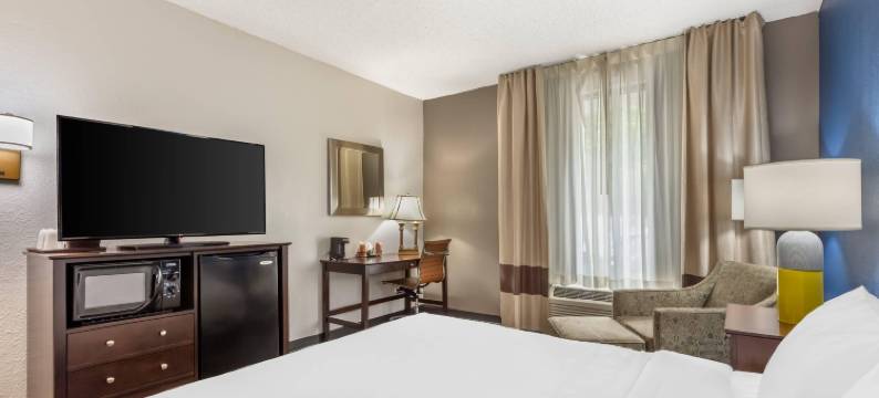 舒适酒店, 松树山 - 南派恩斯(Comfort Inn Pinehurst - Southern Pines)图片