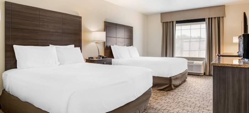 舒适酒店及套房梅迪纳纽约靠近伊利运河(Comfort Inn & Suites Medina NY Near Erie Canal)图片