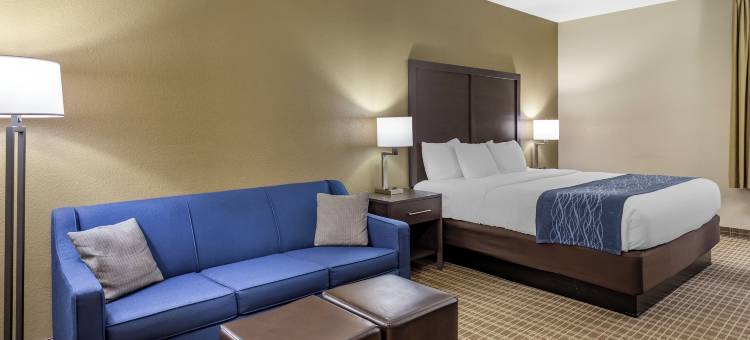 舒适酒店-圣罗伯特/伦纳德伍德堡(Comfort Inn St Robert-Fort Leonard Wood)图片