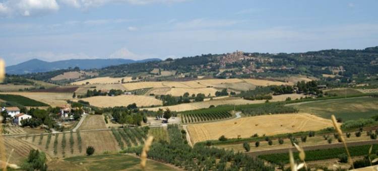 Charming Tuscan Home Wi-Fi图片