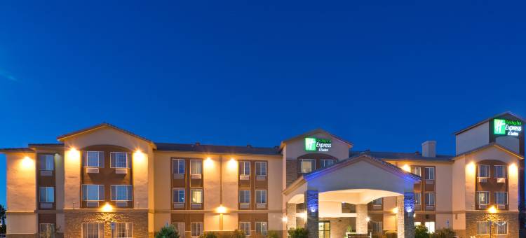 智选假日套房酒店卡萨格兰德(Holiday Inn Express & Suites CASA GRANDE by IHG)图片