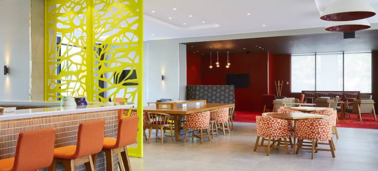 悉尼麦考瑞公园智选假日酒店(Holiday Inn Express SYDNEY MACQUARIE PARK by IHG)图片
