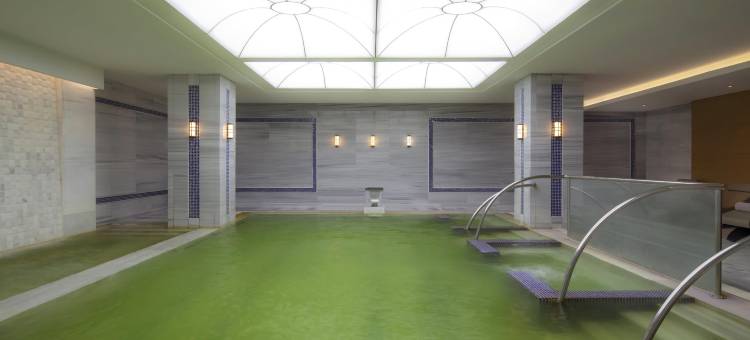 瑞享温泉水疗酒店(Mövenpick Bursa Hotel and Thermal Spa)图片