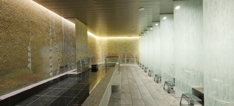 札幌大通公园洲际假日套房酒店(Holiday Inn & Suites Sapporo Odori Park by IHG)图片