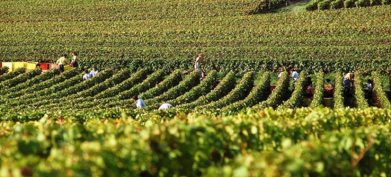 宜必思快捷兰斯泰罗斯酒店(Ibis Budget Reims Thillois)图片