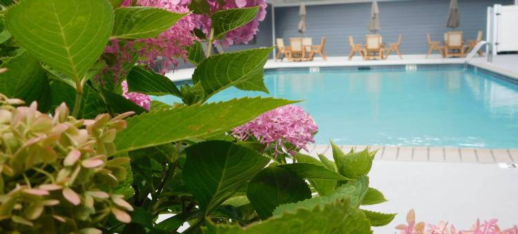 舒适酒店及套房格伦米尔斯 - 西切斯特(Comfort Inn & Suites Glen Mills - West Chester)图片