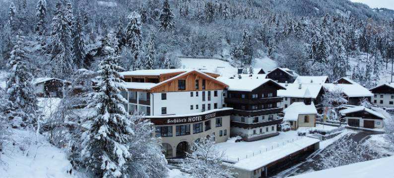 西哈特西罗斯酒店(Seehüter's Hotel Seerose)图片