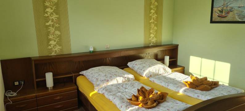 弗里森鲁膳宿公寓(Hotel Pension Friesenruh)图片