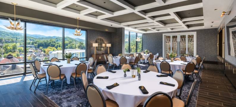 加德林堡市中心英迪格酒店(洲际酒店集团)(Hotel Indigo Gatlinburg Downtown by IHG)图片