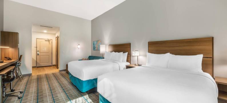 美茵斯坦套房酒店迈尔斯堡东 I-75(MainStay Suites Fort Myers East I-75)图片