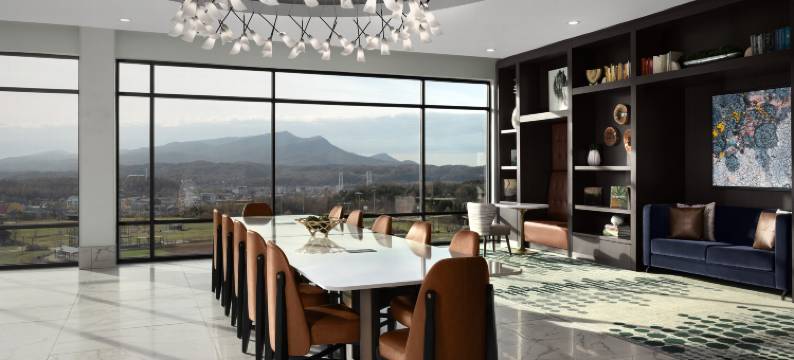 希尔顿Tempo酒店，鸽子谷(Tempo by Hilton Pigeon Forge)图片