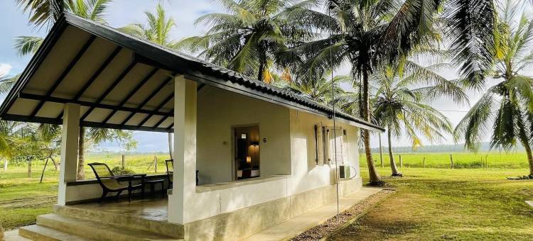 总督营地 威尔帕图(Governor's Camp Wilpattu)图片