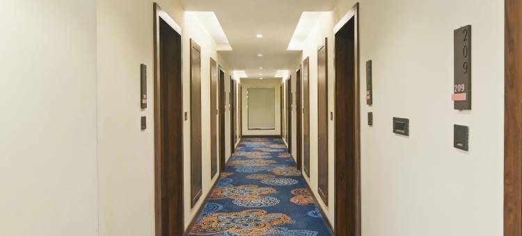 Amber-赛亚吉酒店旗下单位(Amber-A unit of Sayaji Hotels)图片