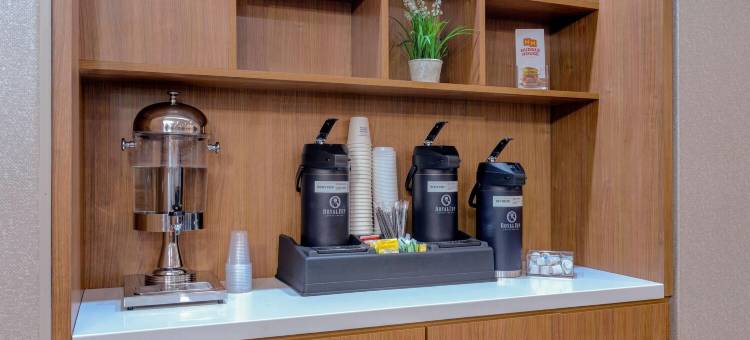 温德姆鹰关拉昆塔温德姆酒店套房(La Quinta Inn & Suites by Wyndham Eagle Pass)图片