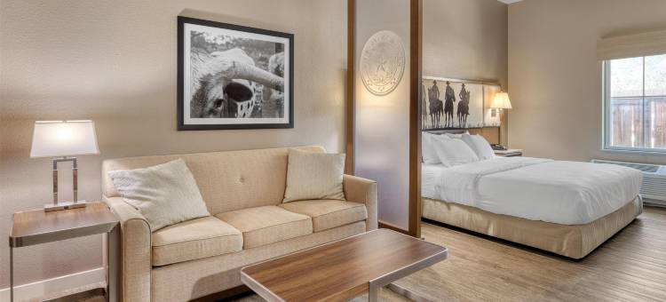 贝斯特韦斯特班德拉套房及轿车(Best Western Bandera Suites  Saloon)图片