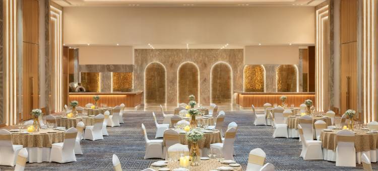 德里 MG 路 丽笙酒店(Radisson Hotel Delhi MG Road)图片