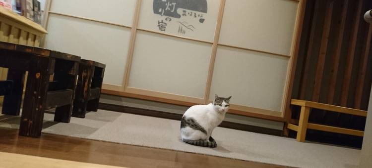 星宿酒店(Hoshiakari No Yado Mahoroba)图片