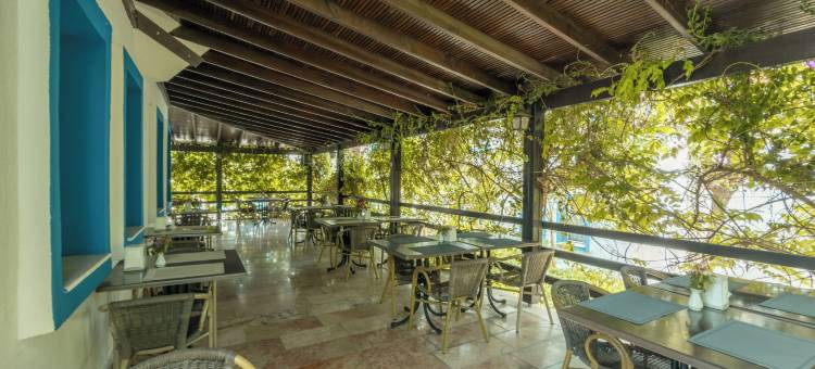 中庭酒店(Hotel Atrium)图片